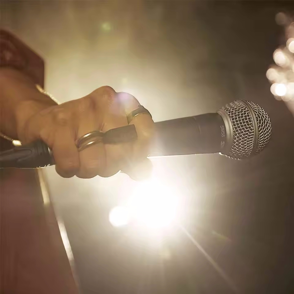 Karaoke Dynamic Microphone Pro - Pc Gaming Live Streaming ulasan dan harga